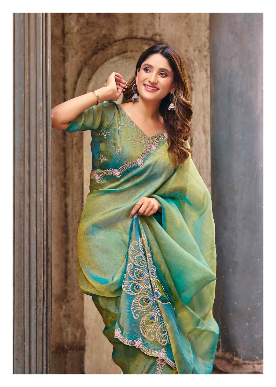 LT Fabrics Jimmy Vol-2 PN Cloud Saree (6 pcs Catalogue)